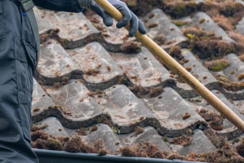 Greater Manchester Roof Moss Removal Experts