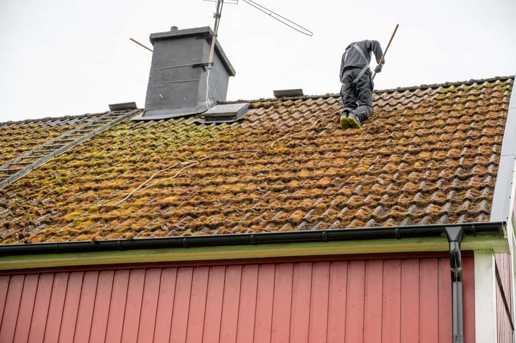 Roof moss removal services Greater Manchester